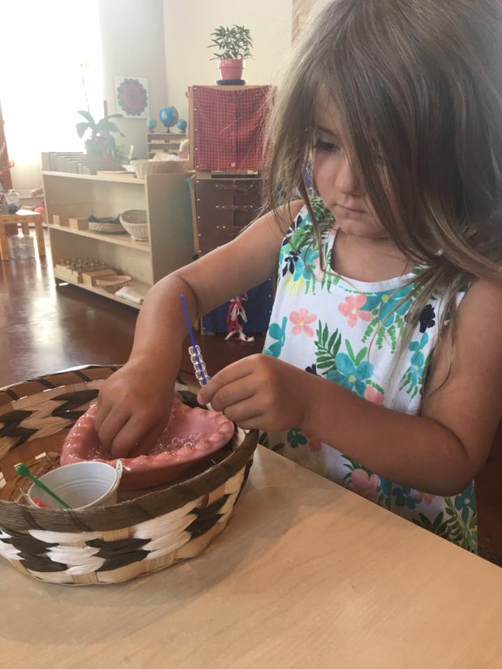 21751346_1437108983041880_1871244901849623152_n