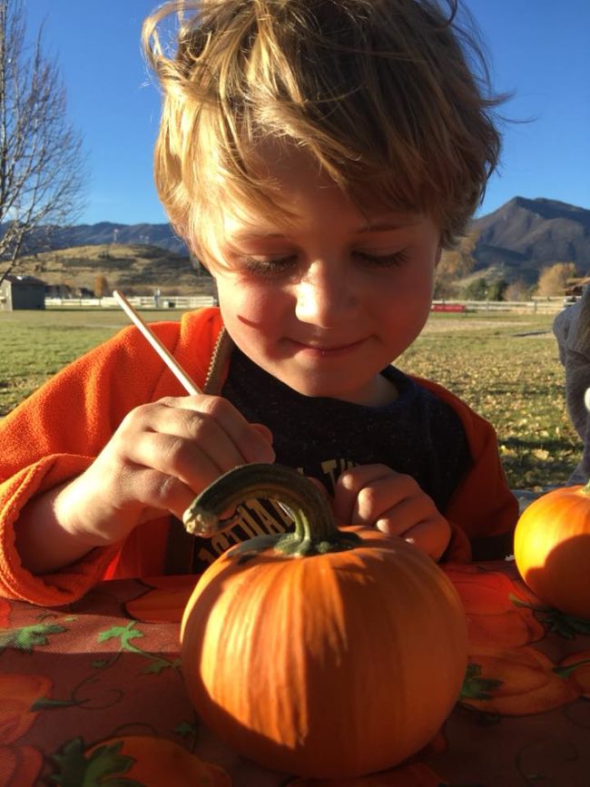 22730339_1473040522782059_7825838691675497821_n